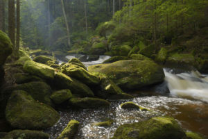 Der neue Bärentrail im Waldviertel: Wild-romantischer Höllfall